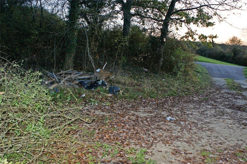 In dieser Hecke am Rande der L136 wurden die Leichenteile gefunden