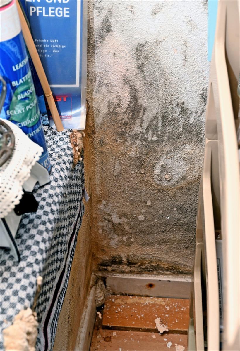 In eigentlich jeder der kaum isolierten Wände steckt der Schimmel
