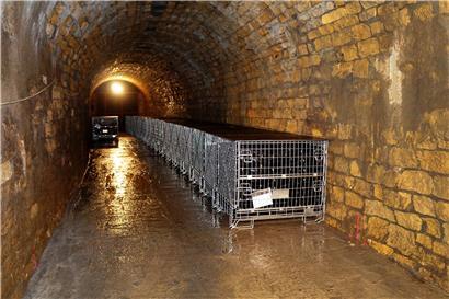 In einem Seitenarm im 1.400 m langen Stollen der altgedienten Galerien in Lasauvage lagern und reifen 14.000 Flaschen Crémant bis zum Jahresende. Zur Lagerung wurde eigens ein Betonboden gegossen.
