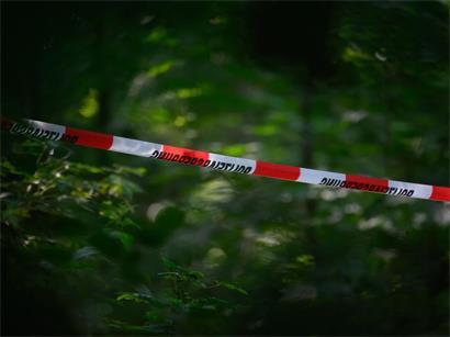 In einem Wald am Rande Berlins hat der Verfassungsschutz zwei Handfeuerwaffen samt Munition gefunden
