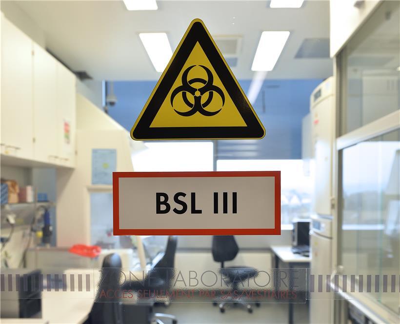 In einem speziellen Labor wie diesem wird das Virus desaktiviert. Danach ist er nicht mehr ansteckend.
