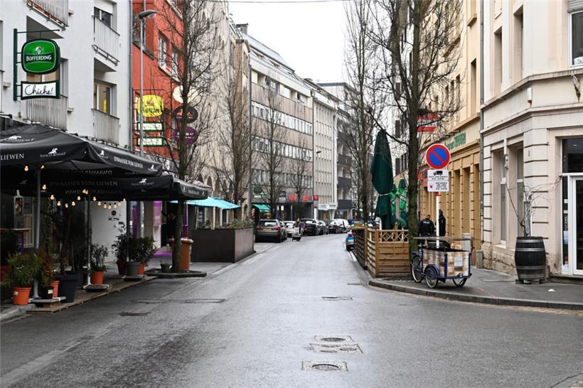 In einer ersten Phase werden die Bäume abgeholzt
