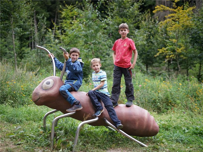 Insekten-Erlebnispfad Hachiville mit bunten Schautafeln und naturnaher Umgebung für Familien und Naturfreunde