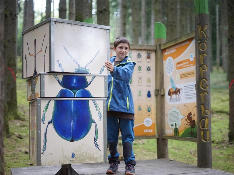 Insekten-Erlebnispfad Hachiville mit bunten Schautafeln und Naturpfad für Familien und Naturfreunde