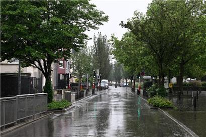 Insgesamt 22 Bäume stehen bereits entlang der Fahrbahn, zwölf weitere sollen hinzukommen
