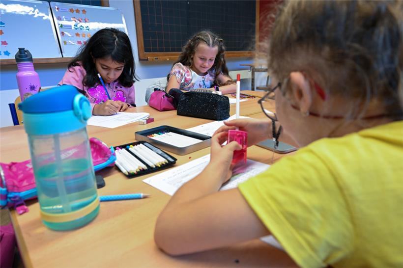 Insgesamt 6.266 Schüler-innen haben sich dieses Jahr für die Sommerschule angeme...