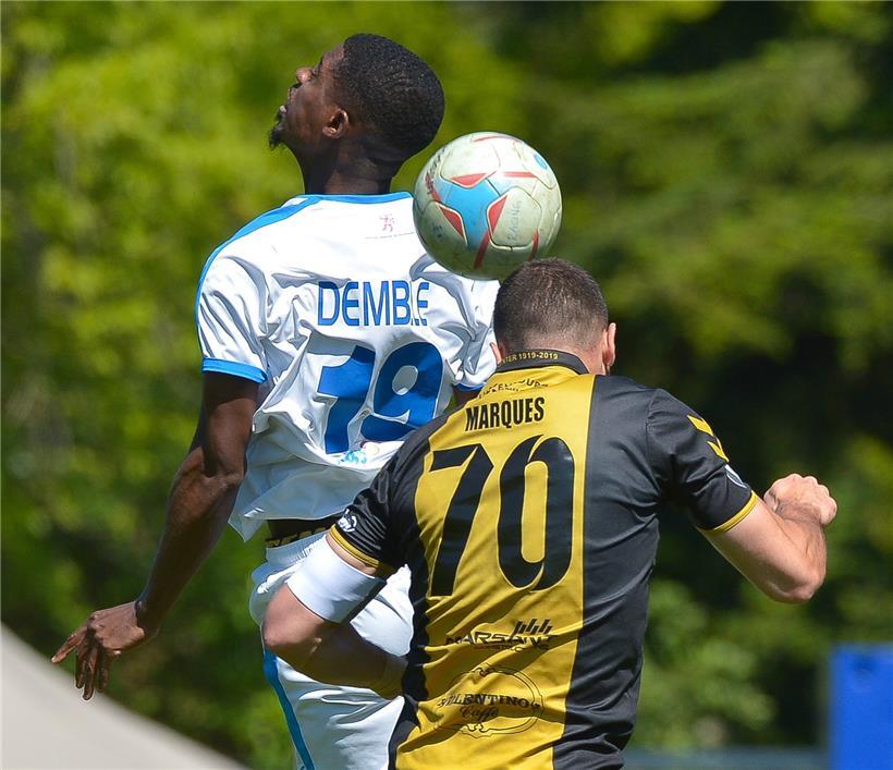 Ist das letzte Wort in Bezug auf die Conference League noch nicht gesprochen worden? Die Niederkorner hoffen es.
