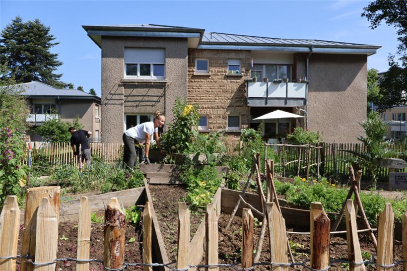 Jeder Garten ist an das umliegende Viertel angepasst und so ein Plus fürs Stadtb...
