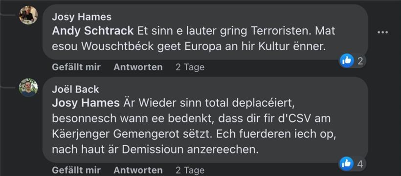 Josy Hames bezeichnete „déi jonk gréng“ als Terroristen und „Wouschtbéck“…
