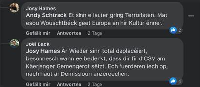 Josy Hames bezeichnete „déi jonk gréng“ als Terroristen und „Wouschtbéck“…
