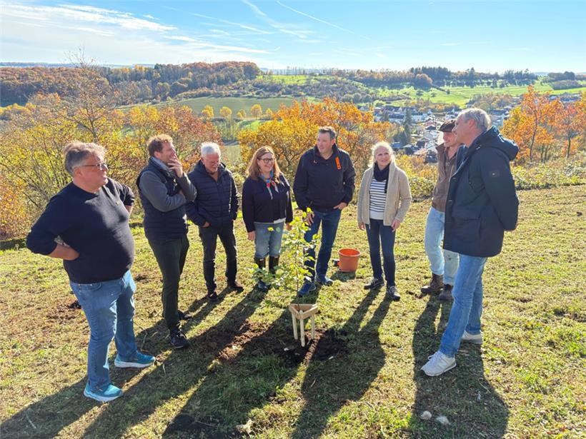 Junges Bäumchen im goldenen Herbst: Die Aktion wurde mit Unterstützung des Schöffen- und Gemeinderats sowie des „Service technique“ umgesetzt
