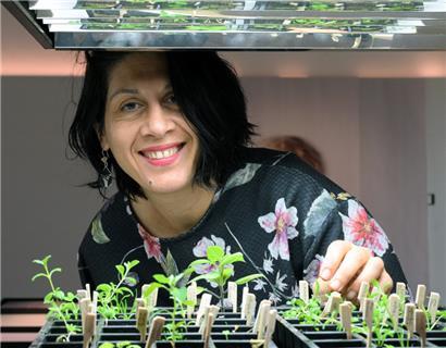 Justine Blau und ihr Projekt „Plante Mère“, das in der Abtei Neumünster zu sehen war. Ihr aktuelles Projekt wird Teil der LUGA sein.
