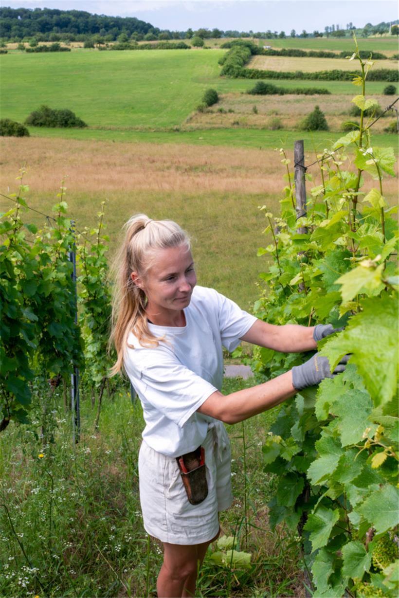 Kaja Kohv aus Estland ist Önologin und baut vier Rebsorten a.
