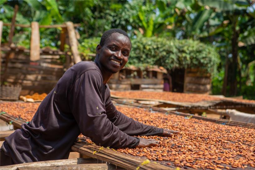 Kakaobohnen aus Ghana