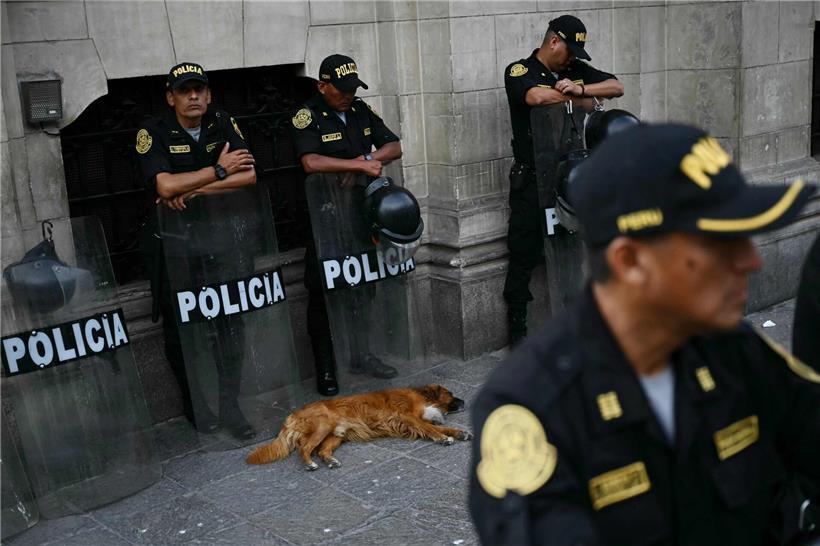 Sicherheitsprotest vor dem Präsidentenpalast in Peru mit schlafendem Hund im Vordergrund