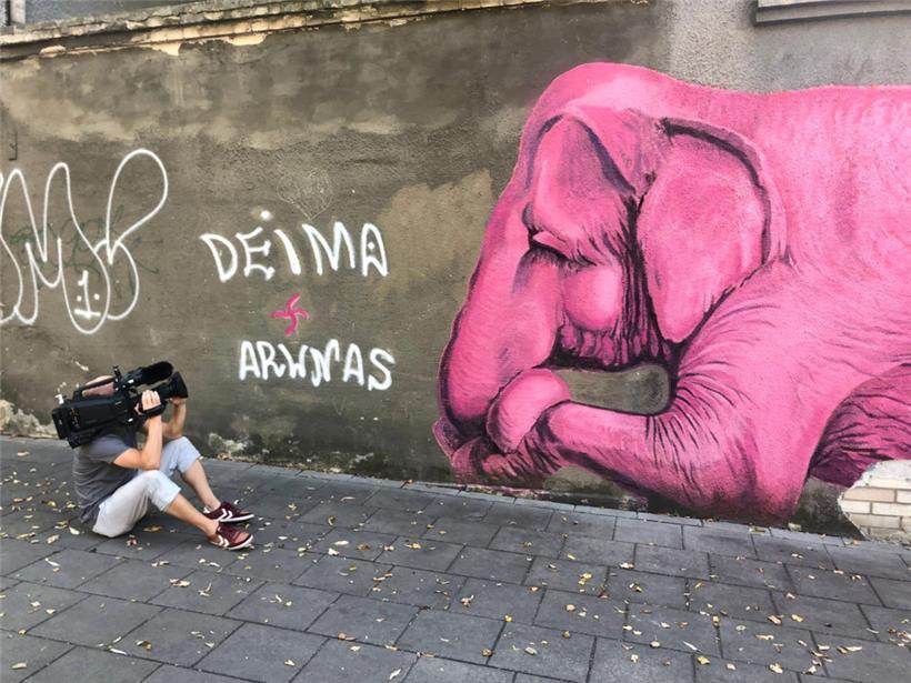 Kaunas ist voll von Graffiti: Der rosa Elefant hat es ARD-Kameramann Alex besond...