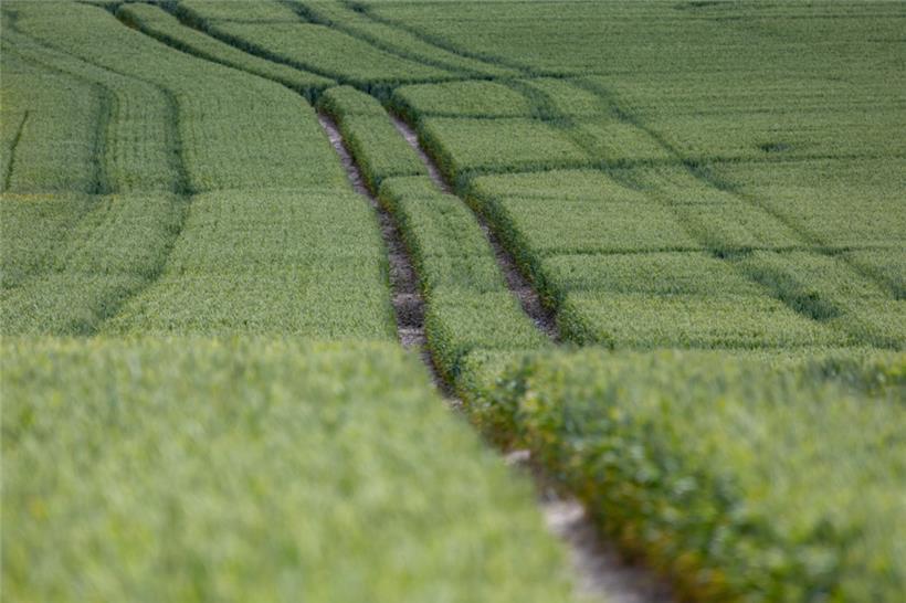 Kein weiterer Verwaltungsaufwand für Landwirte: Die EU-Kommission stimmt gegen eine obligatorische Herkunftsbezeichnung

