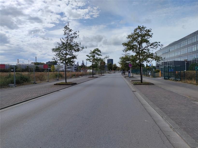 Keine stillgelegten Autos mehr in Sicht: Die Henri-Koch-Straße in Esch-Sommet ist seit Mittwoch Schrottkarren-frei
