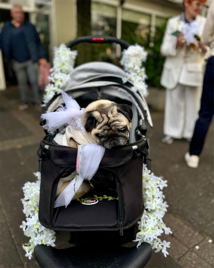 Kelly in ihrem Brautwagen