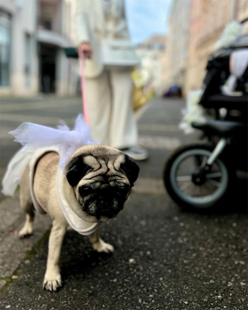 Kelly kurz nach ihrer Trauung