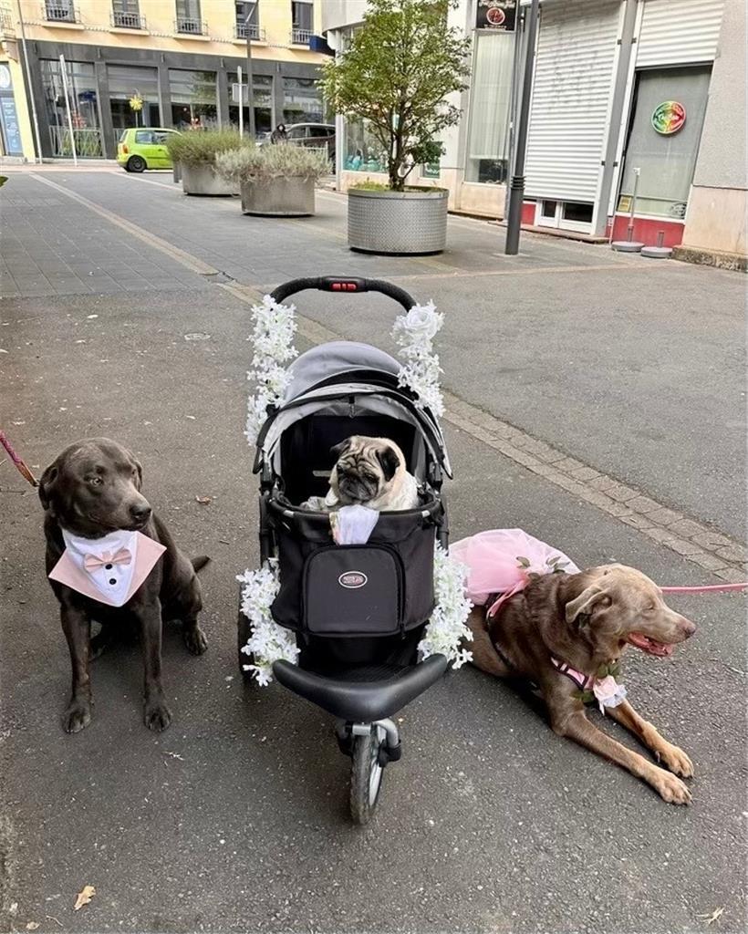 Kelly mit ihren Wautrauzeugen