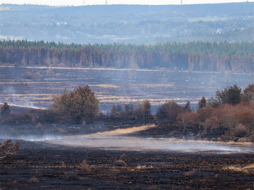 Kilometerweit sind von einem Aussichtspunkt auf belgischer Seite nur verbrannte Flächen im Naturschutzgebiet Hohes Venn zu sehen