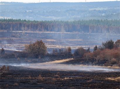 Kilometerweit sind von einem Aussichtspunkt auf belgischer Seite nur verbrannte Flächen im Naturschutzgebiet Hohes Venn zu sehen