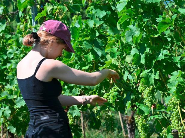Kim hatte als Einzige mitgedacht und eine Sonnenkappe dabei
