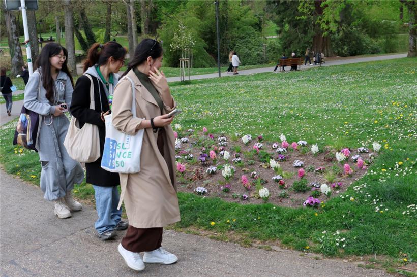 Kleine Blumenbeete mit heimischen Pflanzen, die im Stadtpark in Luxemburg angele...