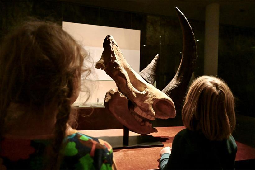 Kleine Gäste bei der „Nuit des musées“ 2025 im „Nationalmusée“ in Luxemburg-Stadt
