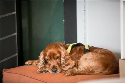 Kraft tanken – das geht mit viel Ruhe und auch mit frischen Kräutern
