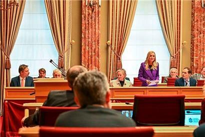 Kritisiert die Regierung für fehlende Finanzierungspläne: LSAP-Fraktionschefin und Oppositionsführerin Taina Bofferding
