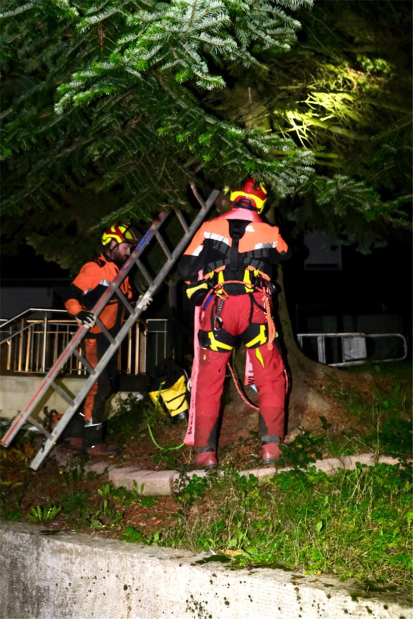 Kurz nach 7.00 Uhr geht’s los: Der „Service Parcs“ der Stadt Luxemburg bereitet alles vor
