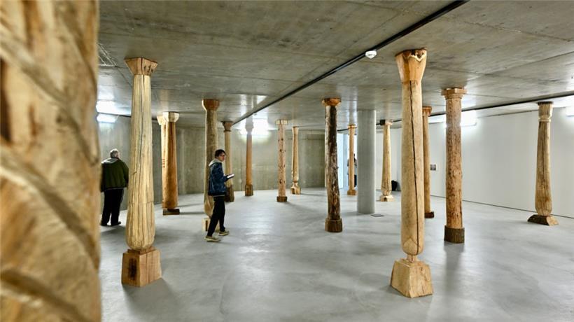 La forêt de Juma proposée par Julia Cottin
