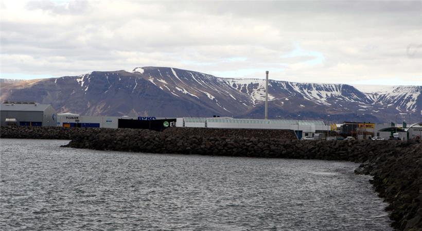 Landschaft in Island: Das Land beherbergt jetzt eines der seltenen Treffen des Europarates

