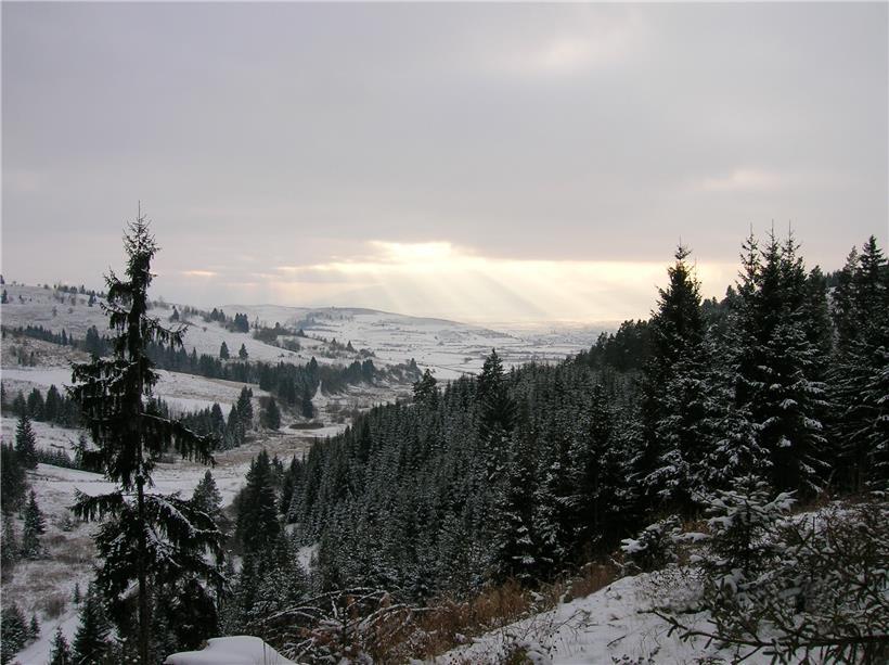 Landschaft rund um Ditrau: Fast die Hälfte der Anwohner unterzeichneten eine Petition gegen die „Überfremdung“ des zu 98 Prozent von Angehörigen von Rumäniens ungarischer Minderheit bewohnten Ortes
