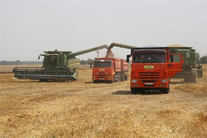Landwirte ernten mit ihren Mähdreschern Weizen auf einem Weizenfeld in der Nähe des Dorfes Tbilisskaya in Russland. Der Krieg in der Ukraine hat die Preise für Weizen weltweit in die Höhe getrieben. 
