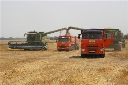 Landwirte ernten mit ihren Mähdreschern Weizen auf einem Weizenfeld in der Nähe des Dorfes Tbilisskaya in Russland. Der Krieg in der Ukraine hat die Preise für Weizen weltweit in die Höhe getrieben. 
