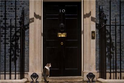 Larry the Cat, Großbritanniens oberster Mäusefänger und langjähriger Bewohner der offiziellen Residenz des britischen Premierministers
