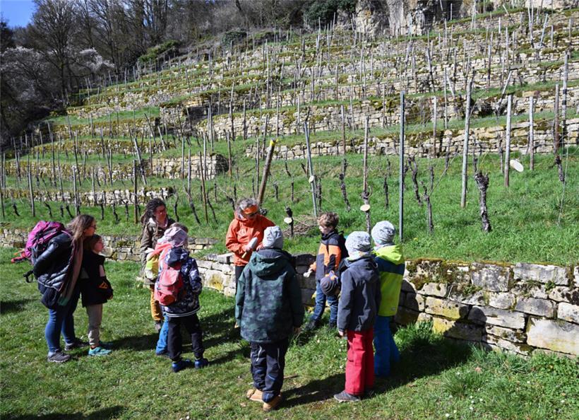 Laurence Duhr und Jutta Kanstein erklären das Innenleben eines Weinberges
