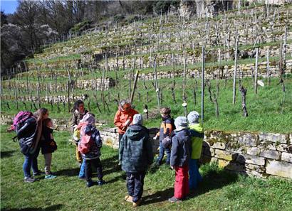 Laurence Duhr und Jutta Kanstein erklären das Innenleben eines Weinberges
