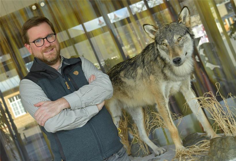 Laurent Schley neben einem präparierten Wolf 

