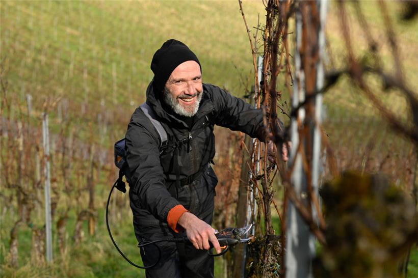 Laurent benötigt nur wenige Sekunden, um einen Rebstock zurückzuschneiden
