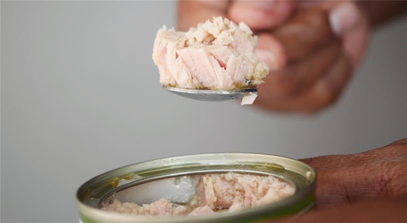 Laut Bloom und Foodwatch müsste der Verkauf zahlreicher Thunfischkonserven umgehend gestoppt werden
