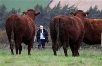 Le Premier ministre britannique en pleine campagne électorale en septembre dernier en Ecosse: bien éloignée est l’époque où un jeune Boris Johnson frappait aux portes des électeurs d’origine turque et kurde de sa circonscription électorale du nord de Londres et leur demandait de voter pour lui
