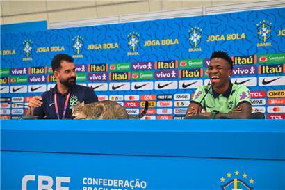Lehre aus der Pressekonferenz der Brasilianer: Leg dich nie mit einem Kätzchen an, sonst fliegst du aus dem Turnier
