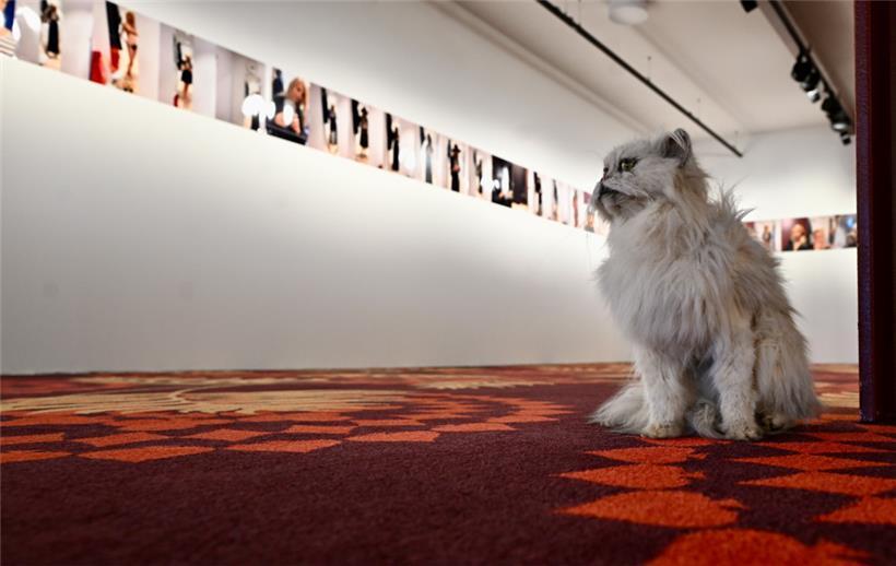 „Les jeux sont faits. Rien ne va plus“, proclame Hsia-Fei Chang, en racontant sa vie de croupière
