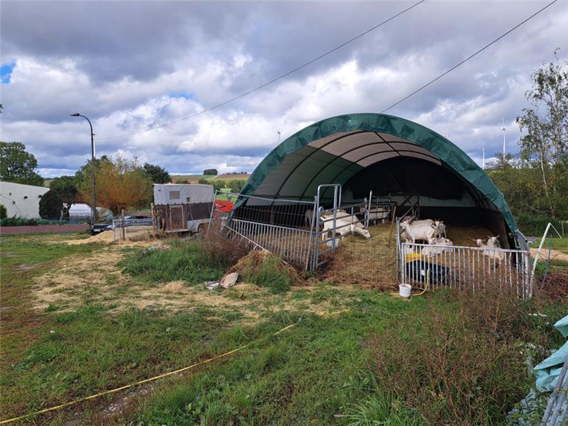 Links neben dem Ziegengehege stand zuvor eine ähnliche Rundbogenhalle, die kompl...