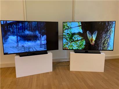 L’installation „Une fin certaine“ de Nathalie Noé Adam
