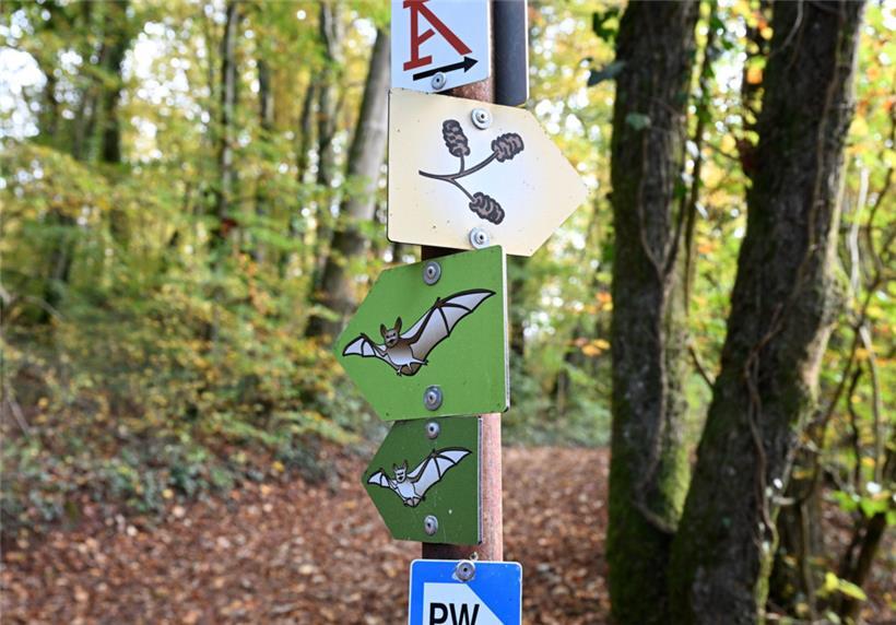 Lokale Aktionen sind wichtig, um gegen den Klimawandel vorzugehen 
